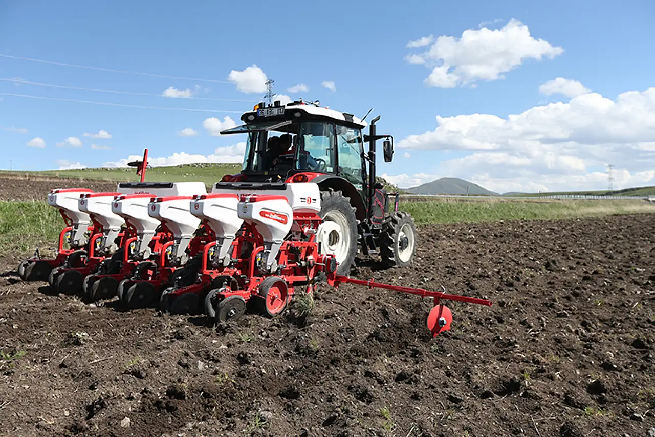 Kars'ta ayçiçeği ekim alanı yüzde 50 arttı, tohum desteği etkili oldu!