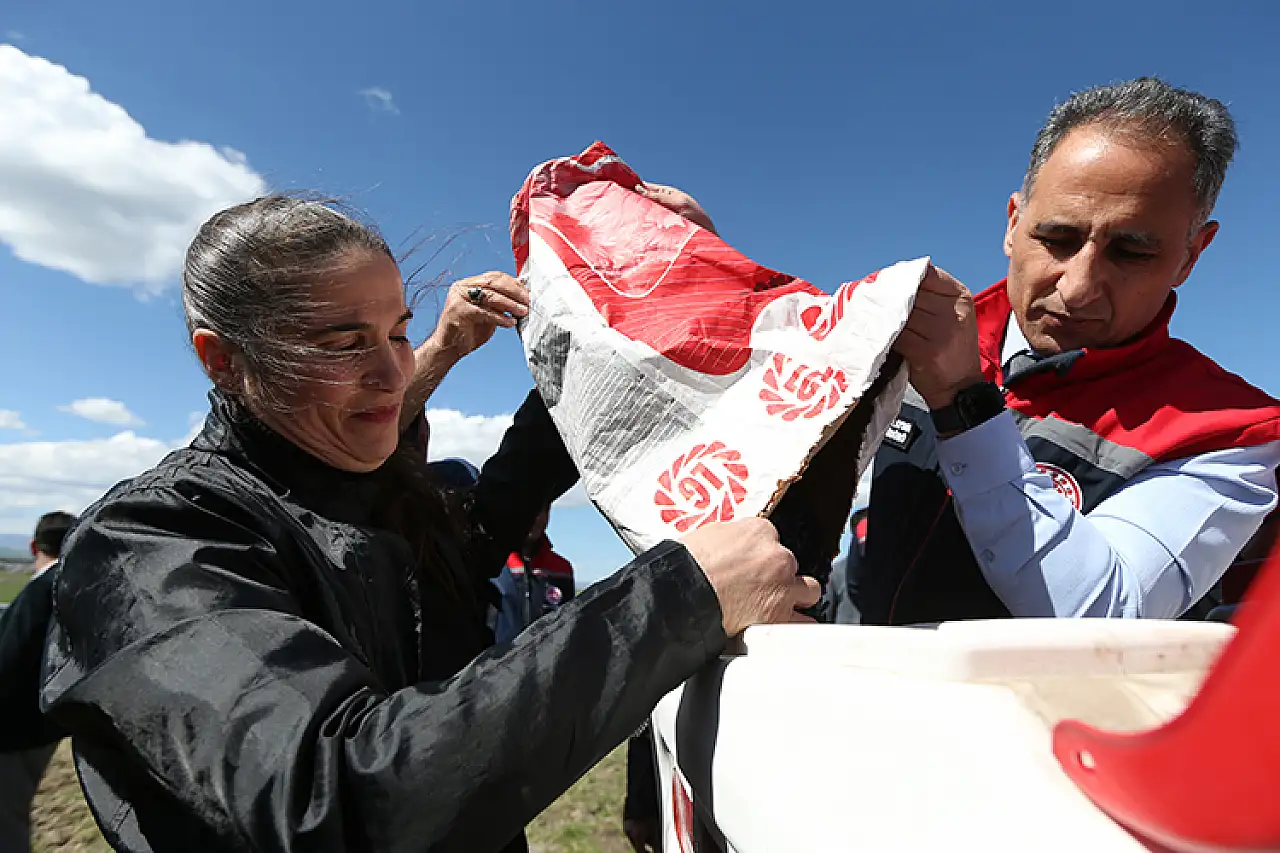 Kars'ta ayçiçeği ekim alanı yüzde 50 arttı, tohum desteği etkili oldu!