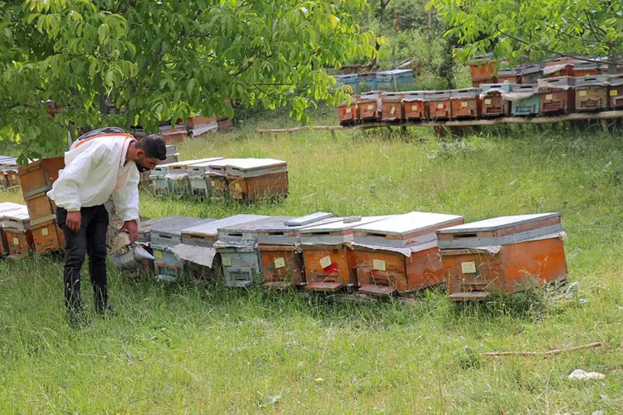 Devlet Desteğiyle Arıcılığa Yönelen Hemofili Hastası Girişimci, Siparişleri Tükenme Noktasına Geldi!
