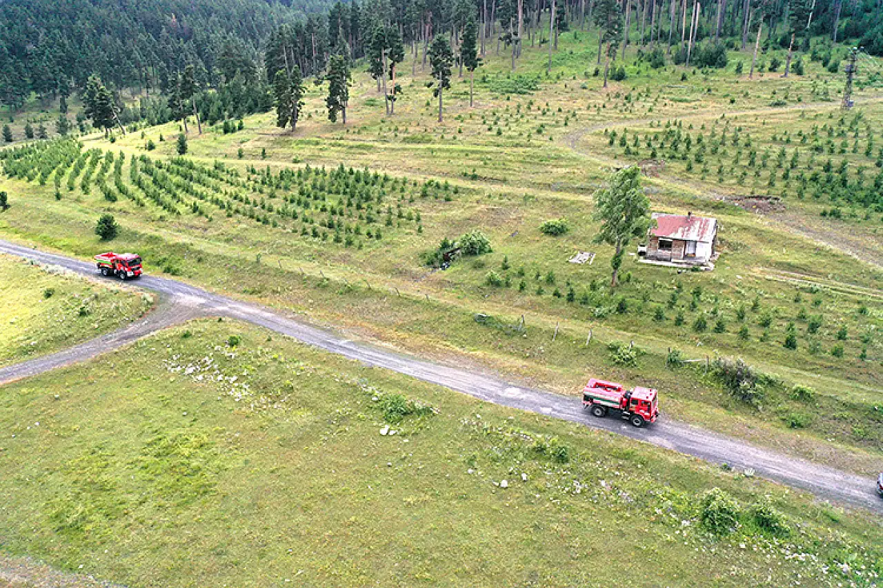 Ormanlar için 7/24 nöbet: 'Ateş savaşçıları' yangınları önlemek için hazır!