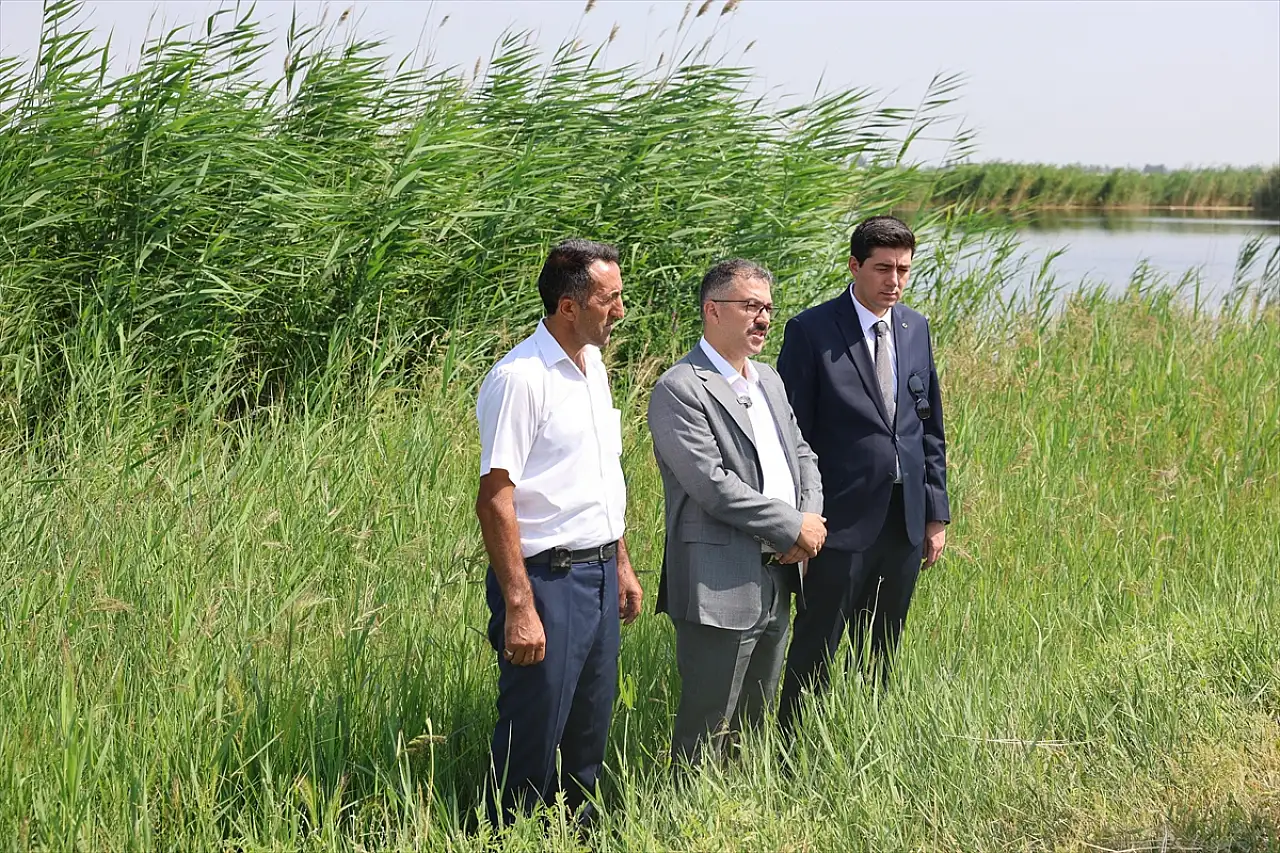 Ağrı Dağı'nın eteklerindeki kuş cenneti turizme açılıyor