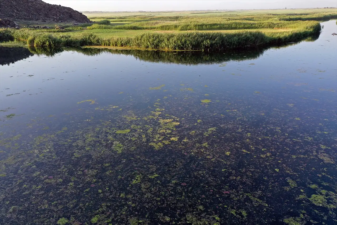 Ağrı Dağı buzulları eriyor, Karasu kuruyor