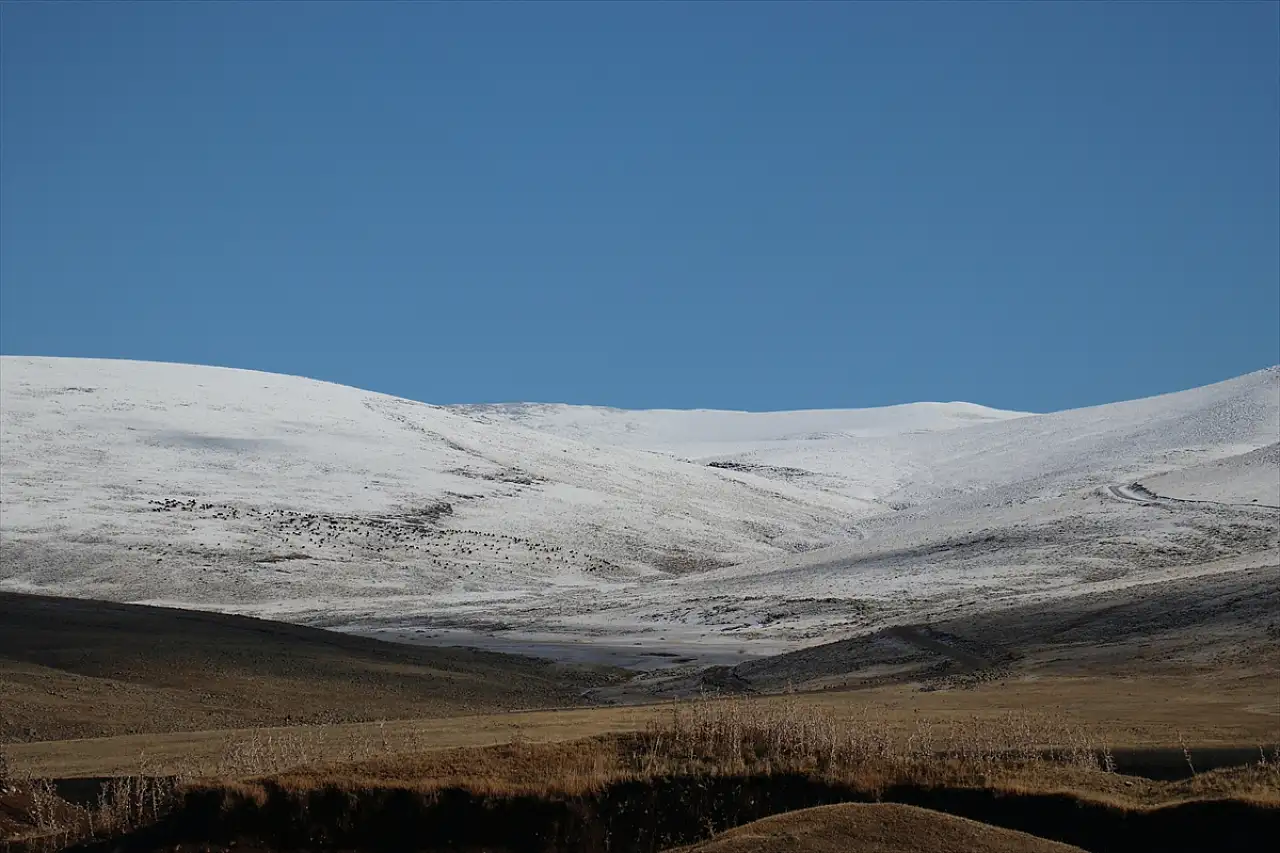 Ağrı'da kar ve sis görsel şölen sundu