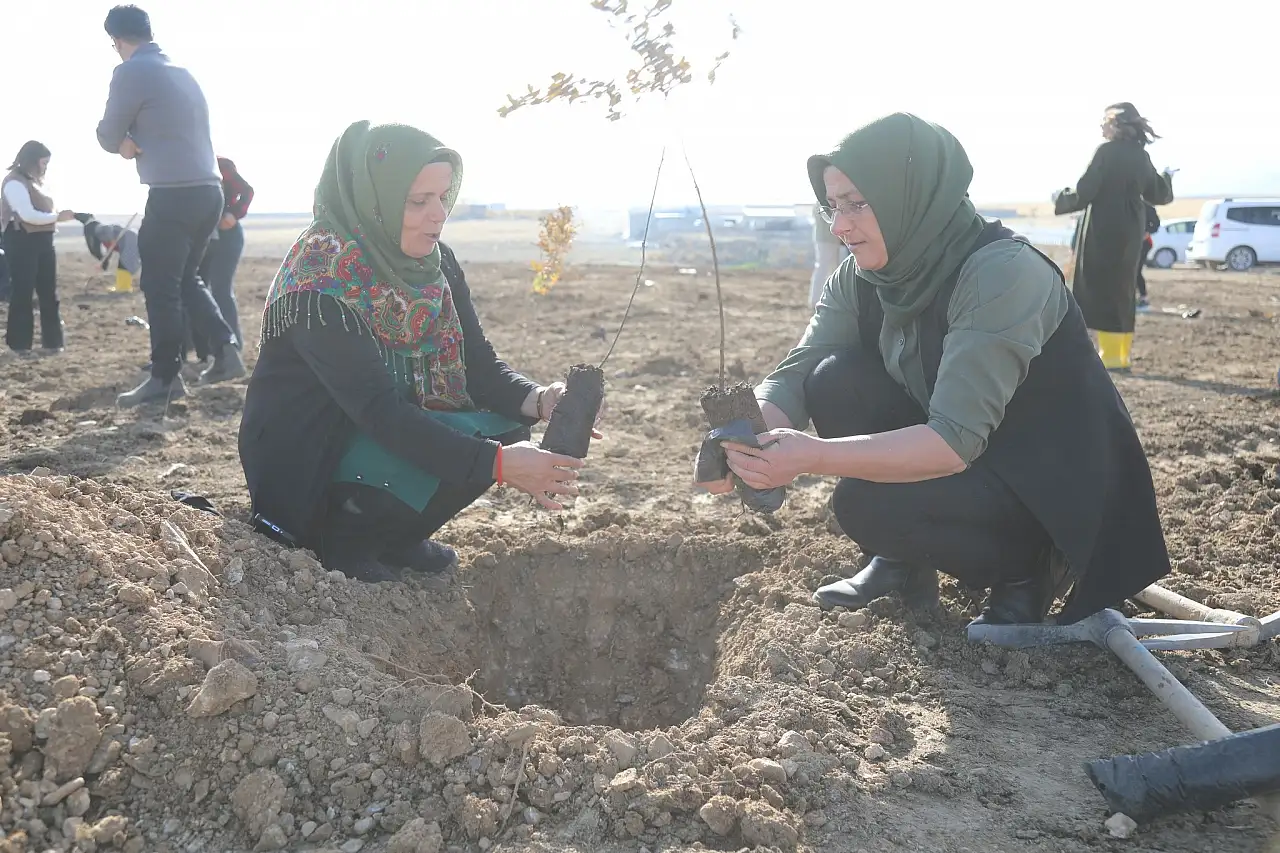 Başkale'de Kadına Şiddete Karşı Anlamlı Fidan Dikimi Etkinliği