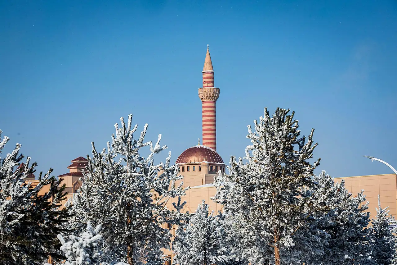Ağrı'da kar, üniversite kampüsünü tabloya çevirdi