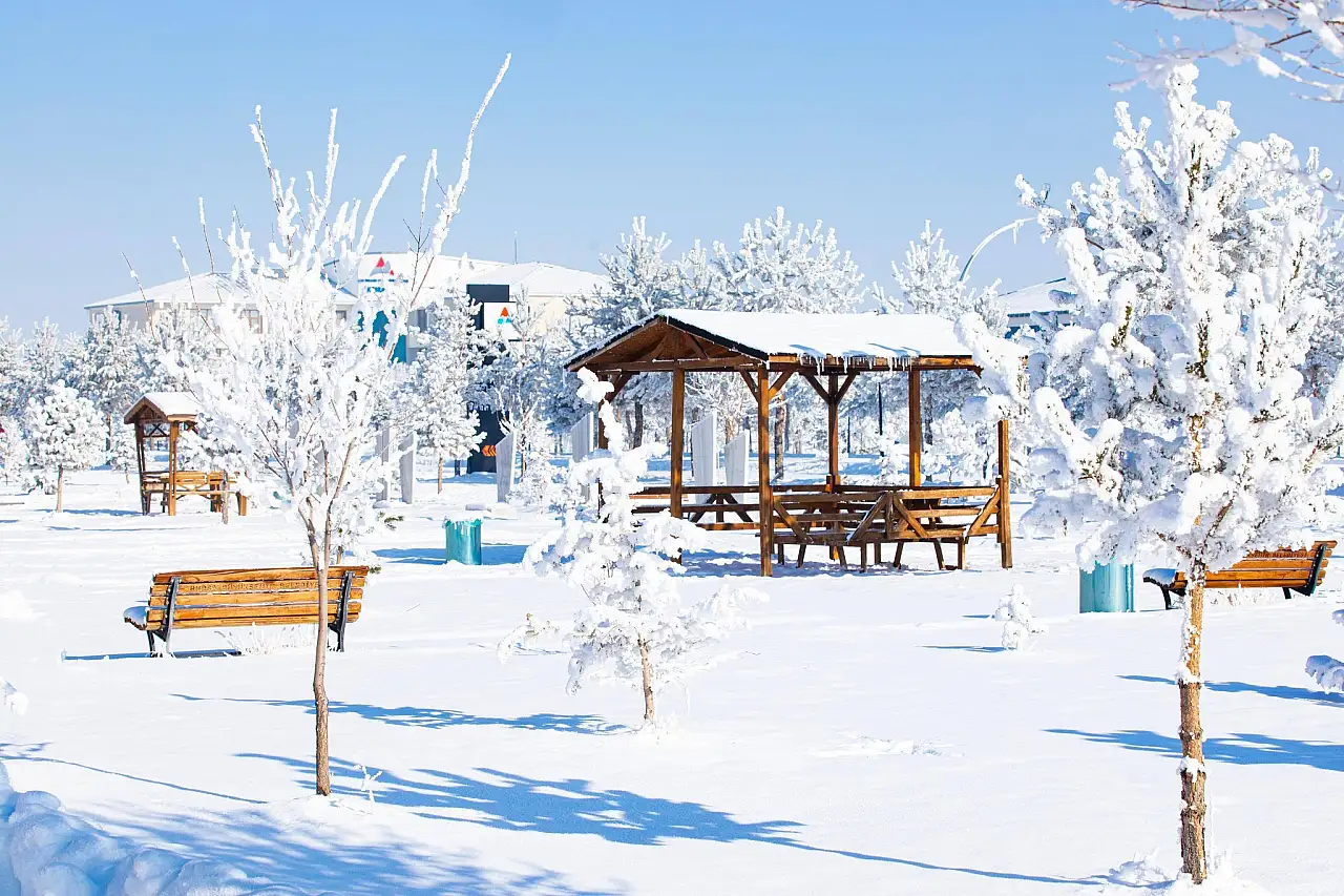 Ağrı'da kar, üniversite kampüsünü tabloya çevirdi