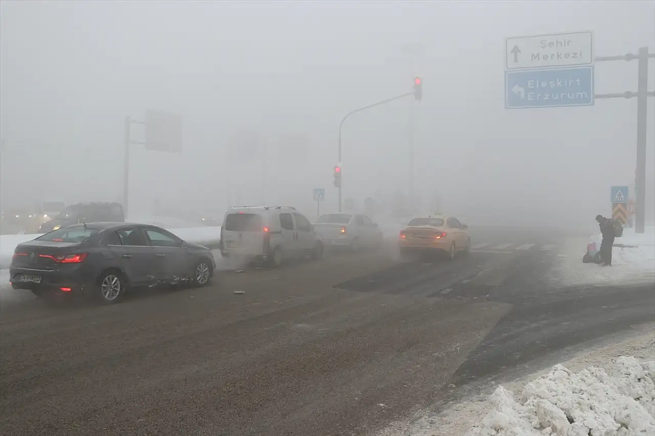 Ağrı'da sabahın erken saatlerinde kırağı ve sis etkili oldu