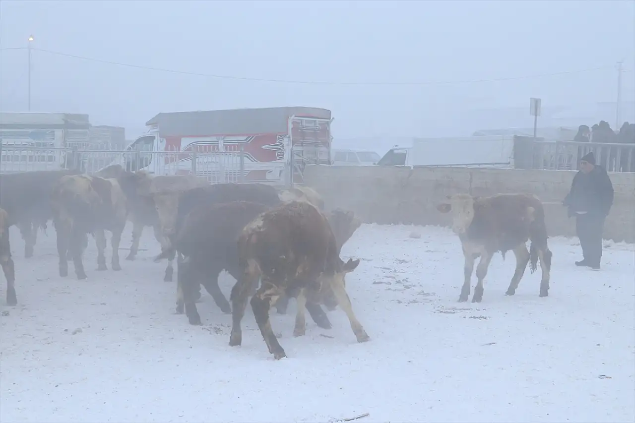 Ağrı'da eksi 26 dereceyle kış sert yüzünü gösterdi
