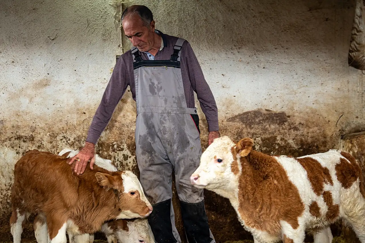 Hayvancılığı bırakmanın eşiğindeydi, destekle üretimi üçe katladı