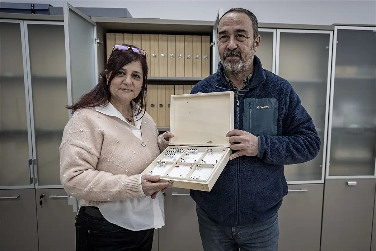 Anadolu'nun bilinmeyen böcekleri gün yüzüne çıkıyor