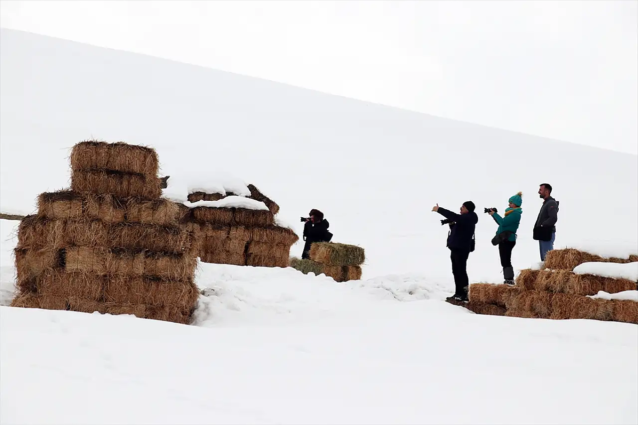 Karla kaplanan Ağrı fotoğraf tutkunlarını ağırlıyor