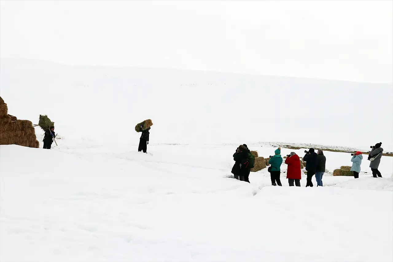 Karla kaplanan Ağrı fotoğraf tutkunlarını ağırlıyor