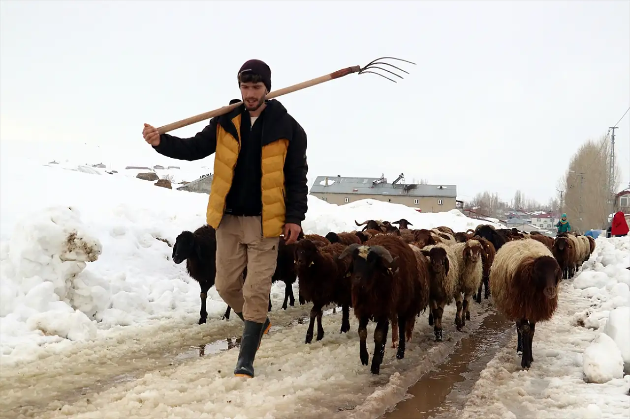 Karla kaplanan Ağrı fotoğraf tutkunlarını ağırlıyor