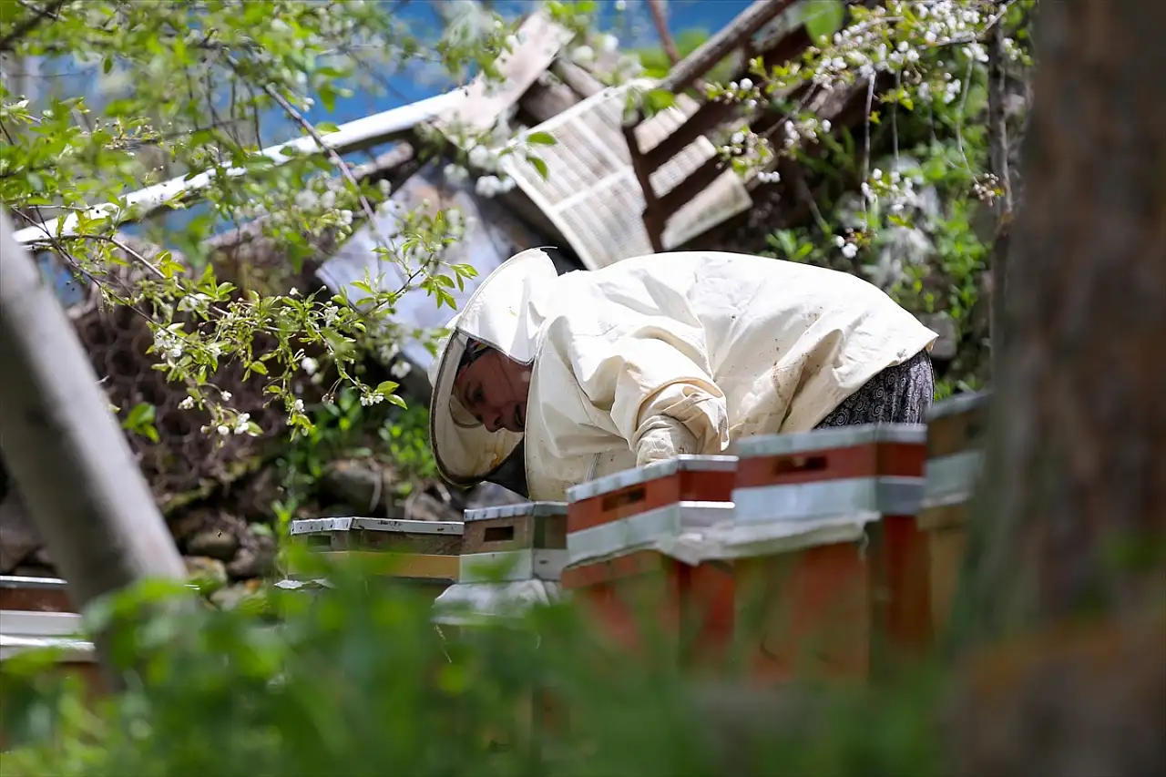 Erzurumlu kadın arıcıdan örnek başarı hikayesi: 'Ölene kadar devam edeceğim'