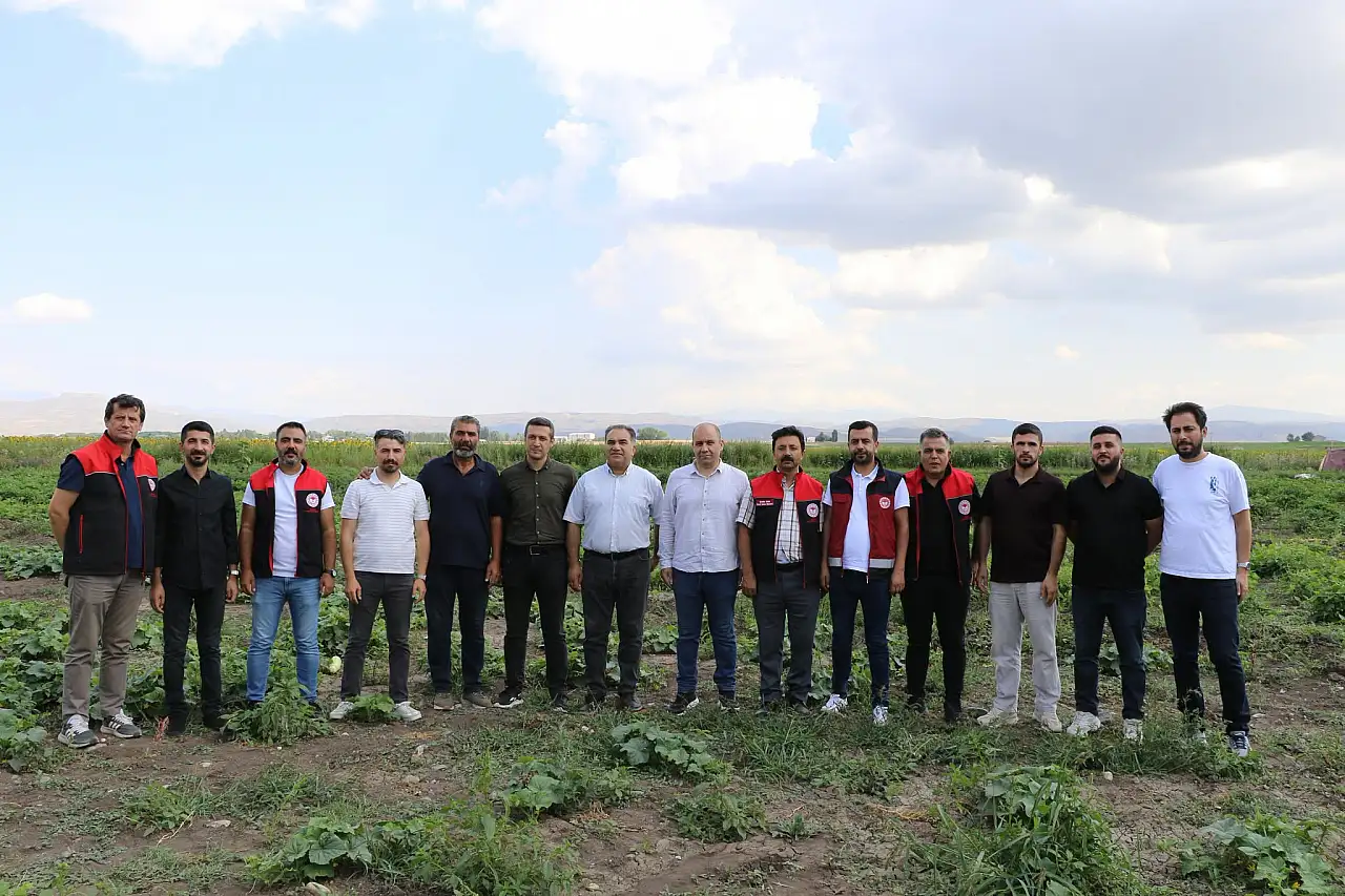 Ağrı'da sebze hasadı başladı