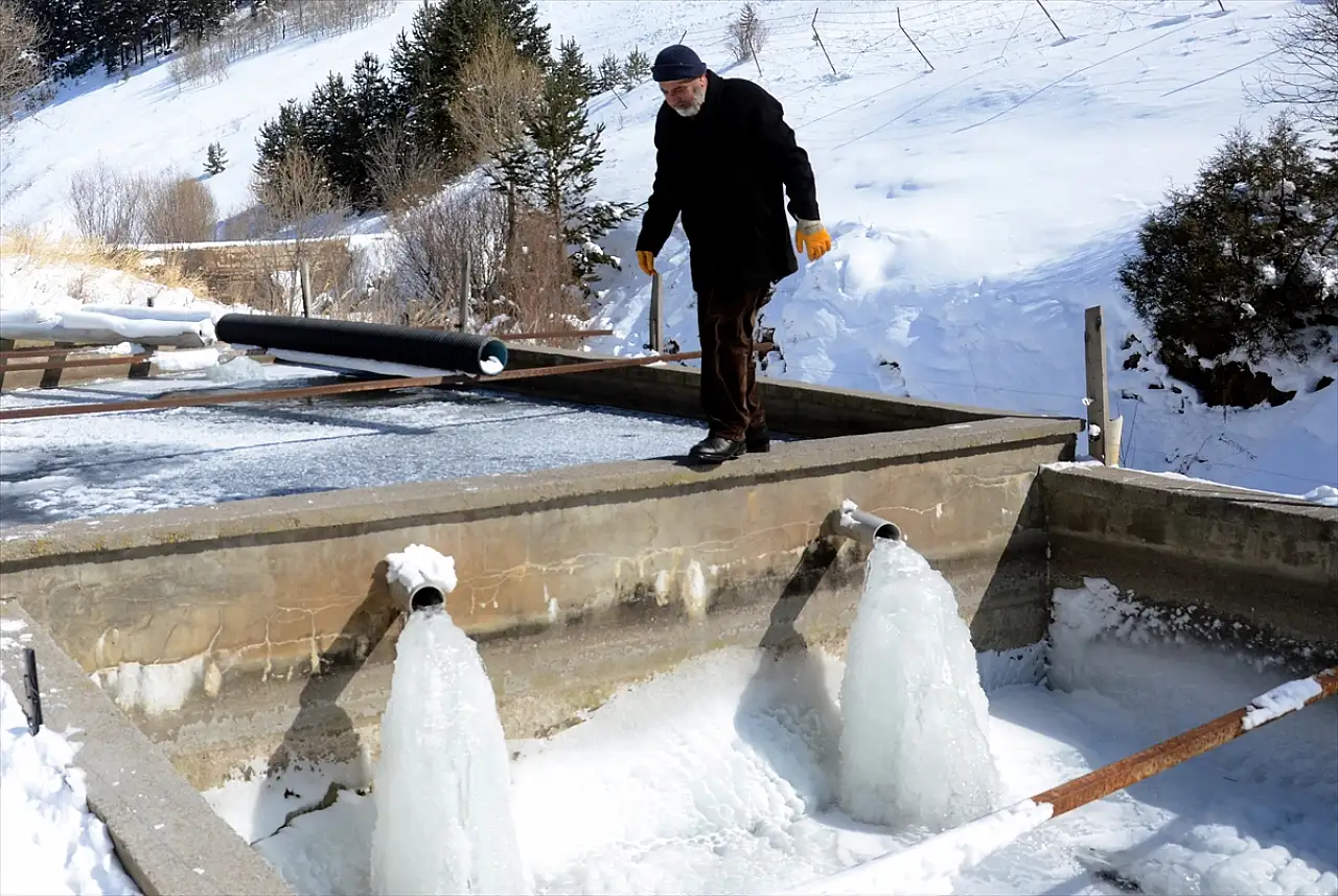 Sarıkamış'ta dondurucu soğukta alabalık üretimi sürüyor