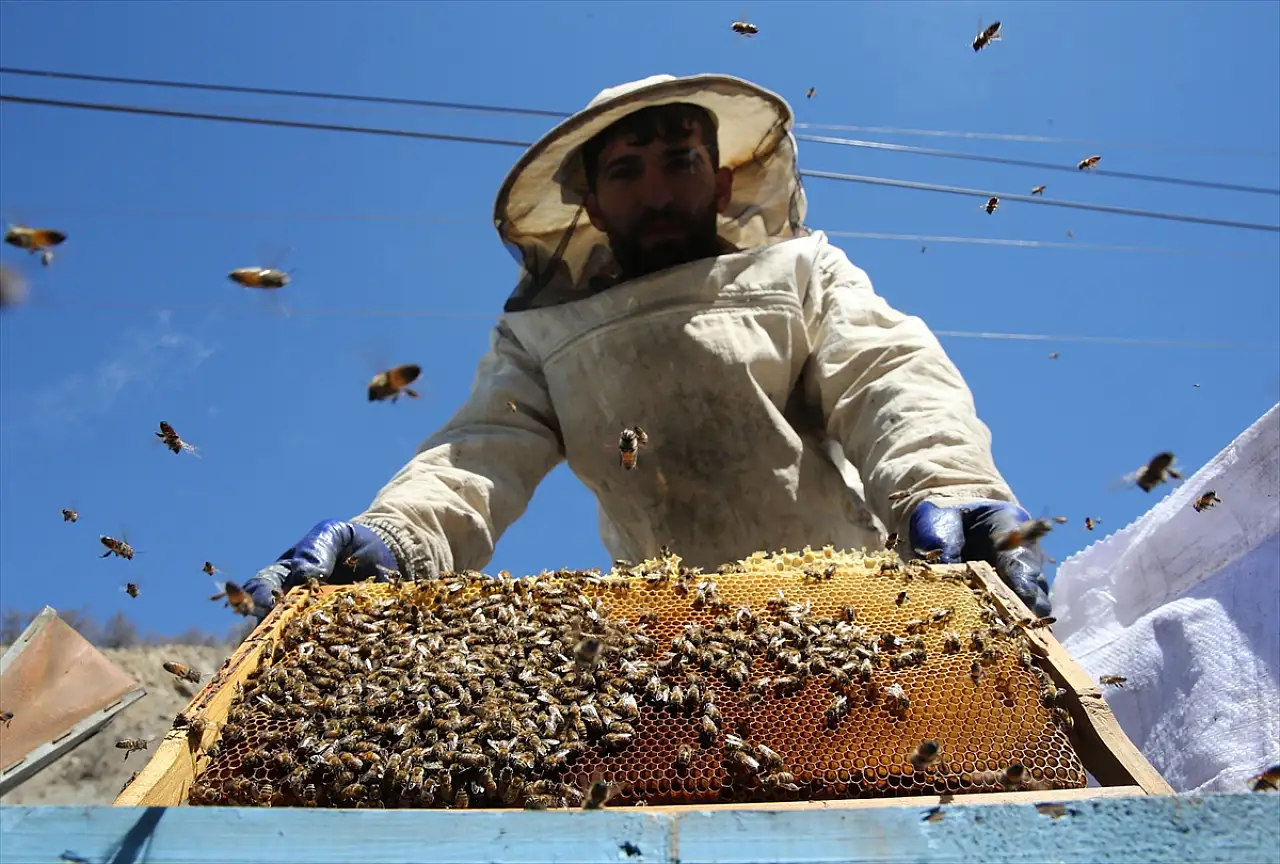 Bitlisli arıcılar yayla sezonu için hazırlıkta