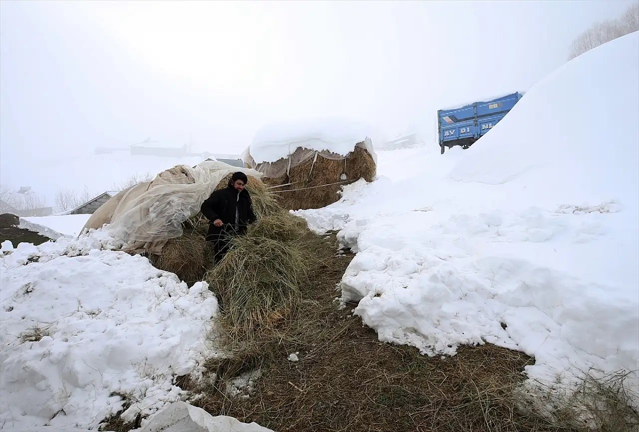 Muş ve Bitlis'te besiciler zorlu kış mesaileri