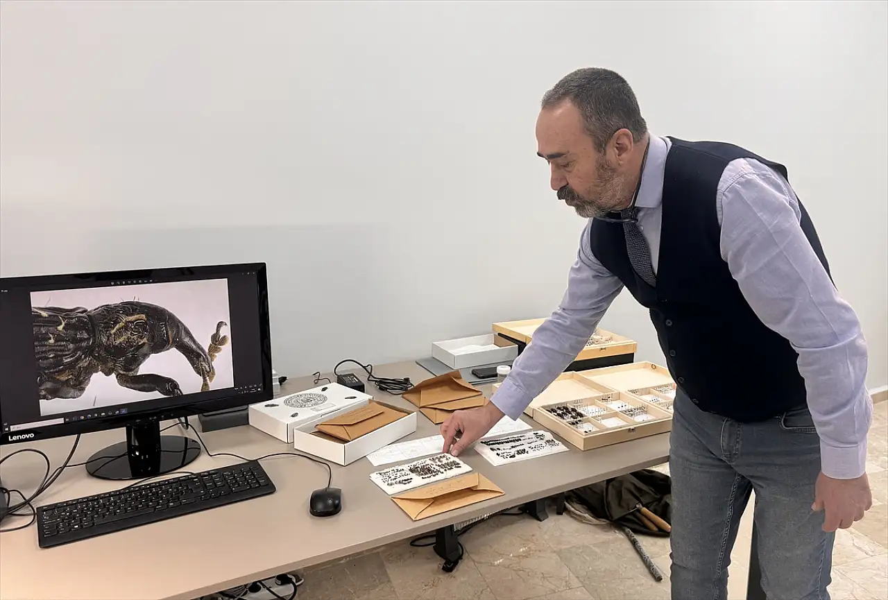 Kop Dağı'nda keşfettiği böceği eşinin adıyla literatüre kazandırdı