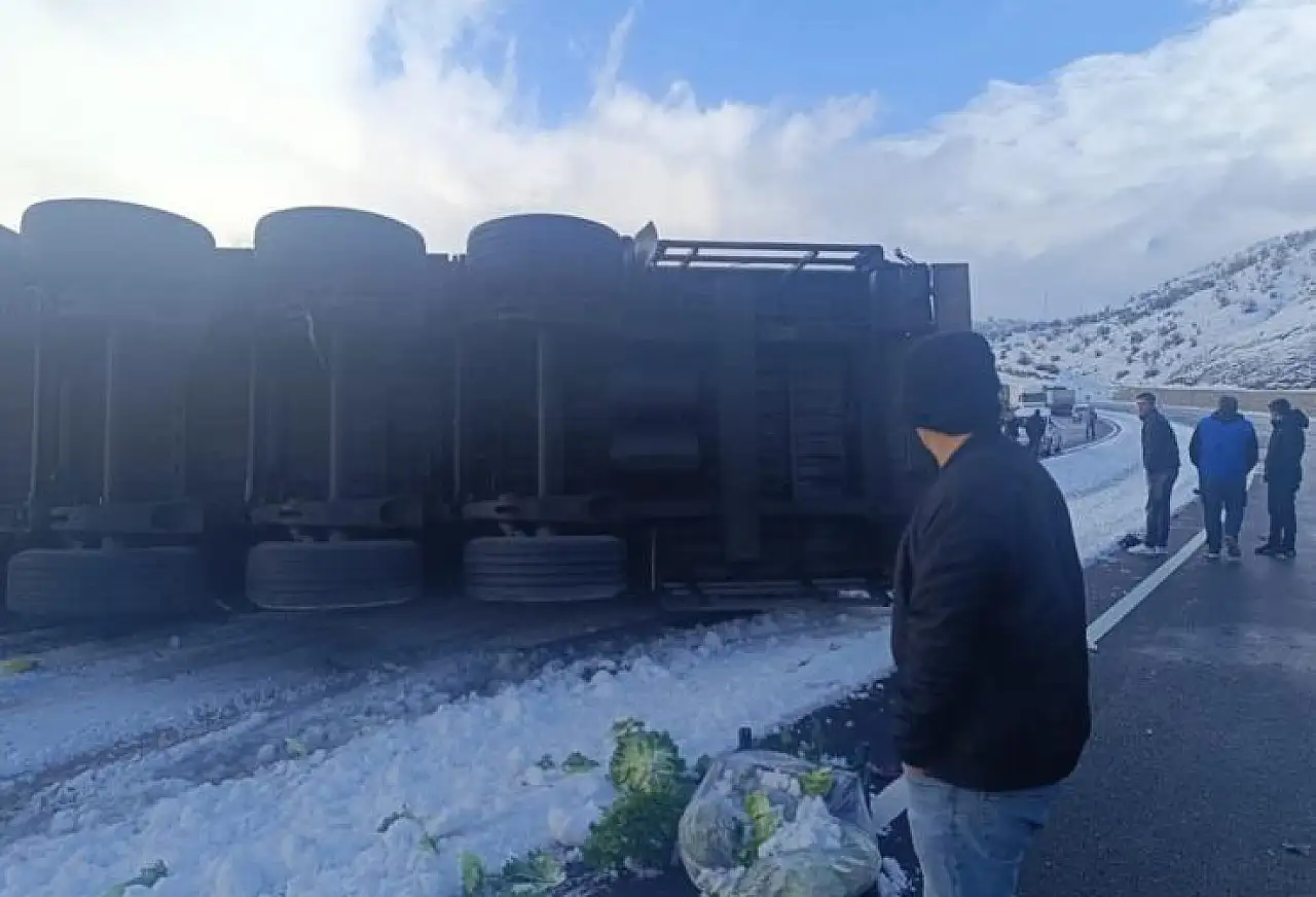 Ağrı yolu sebze tarlasına döndü: kamyon devrildi, tonlarca ürün ziyan oldu