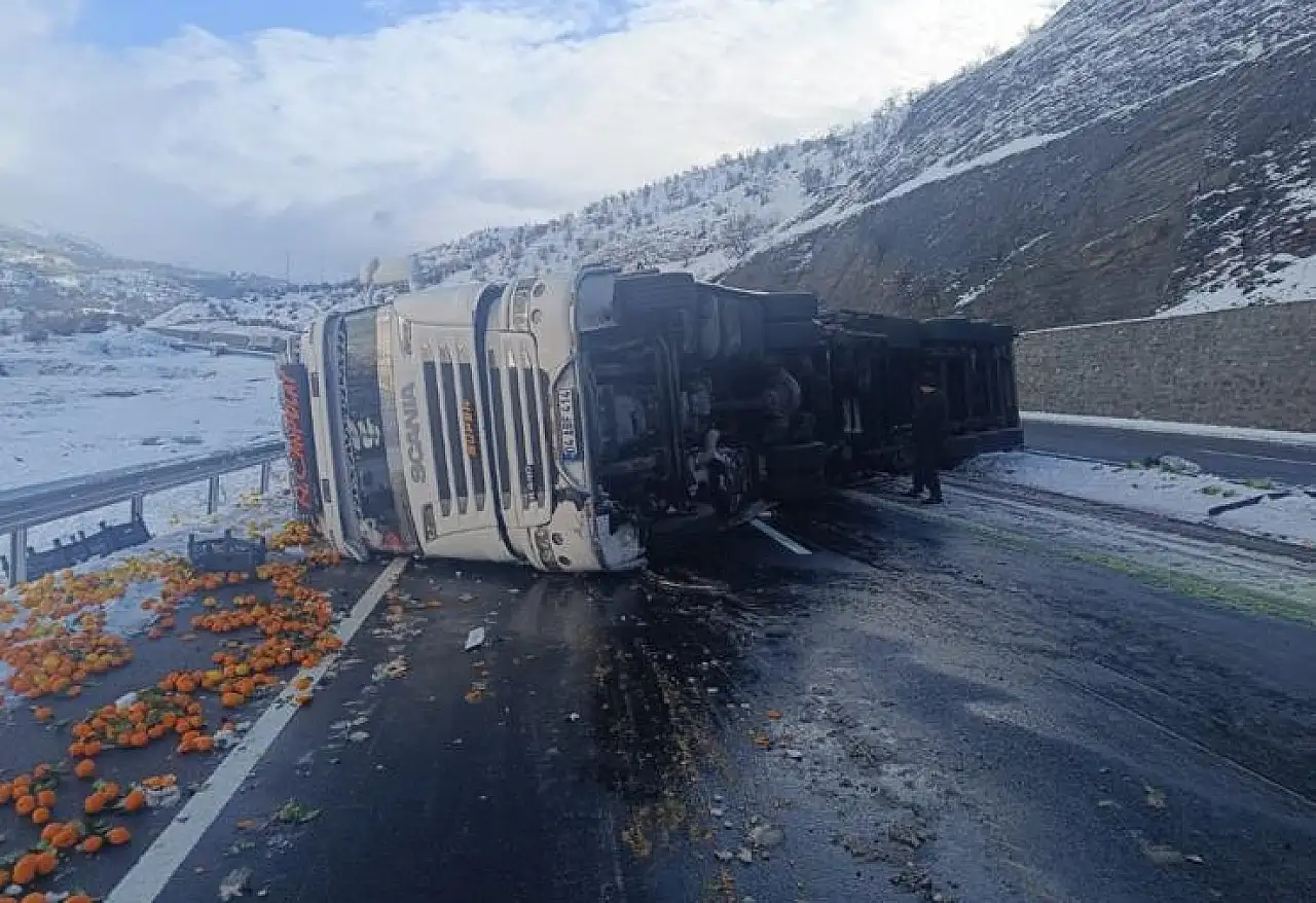 Ağrı yolu sebze tarlasına döndü: kamyon devrildi, tonlarca ürün ziyan oldu