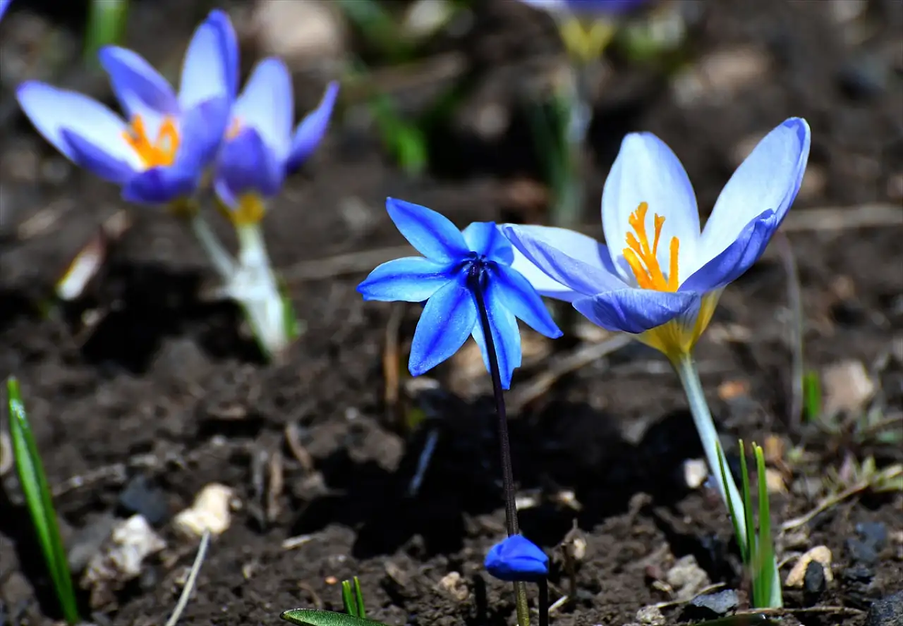 Kars Acısu ve İznos'ta kartpostallık manzaralar