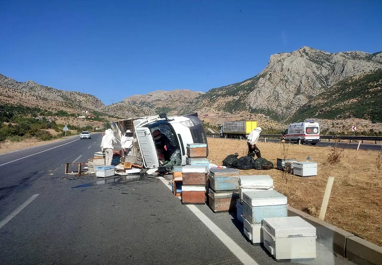 Bitlis'te arı kovanı yüklü kamyonet devrildi: 3 kişi yaralandı