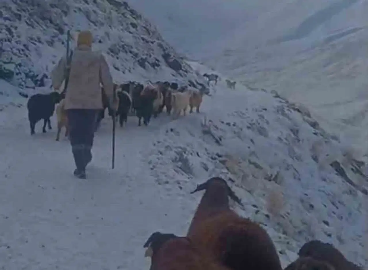 Ağrı'nın ilçelerinde hayvanlarını otlatmaya çıkaran köylüler tipiye yakalandı