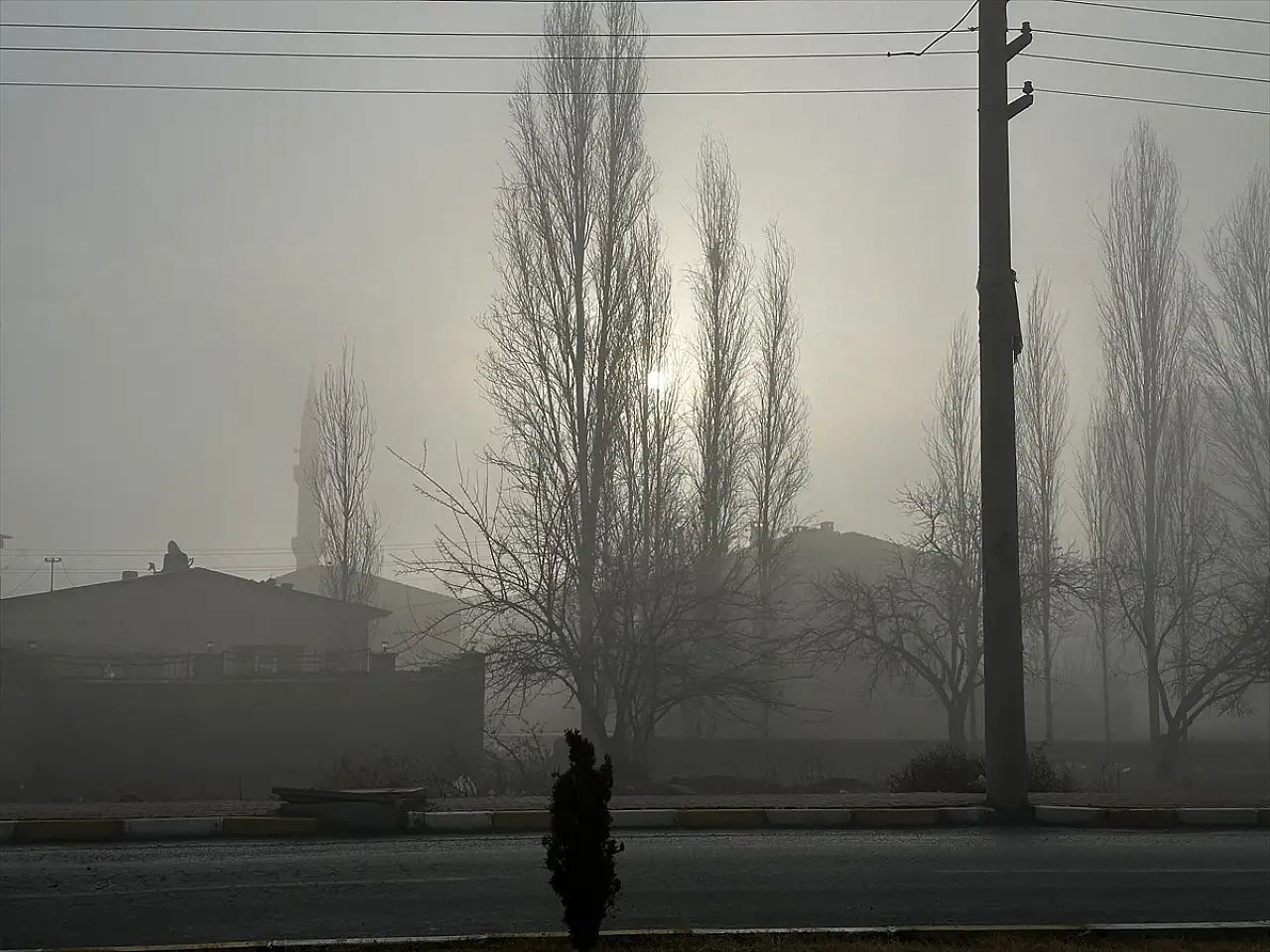 Iğdır'da yoğun sis hayatı olumsuz etkiledi