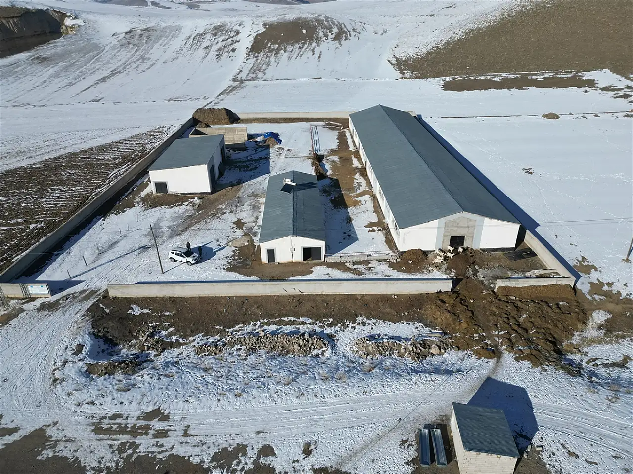 Van'da devlet desteğiyle kurulan çiftlikte 'Saanen Irkı' keçi yetiştiriliyor