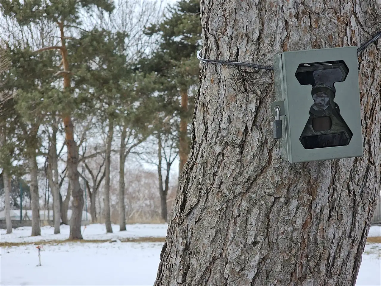 Erzurum'da doğa koruma ekipleri kaçak avcıların izinde