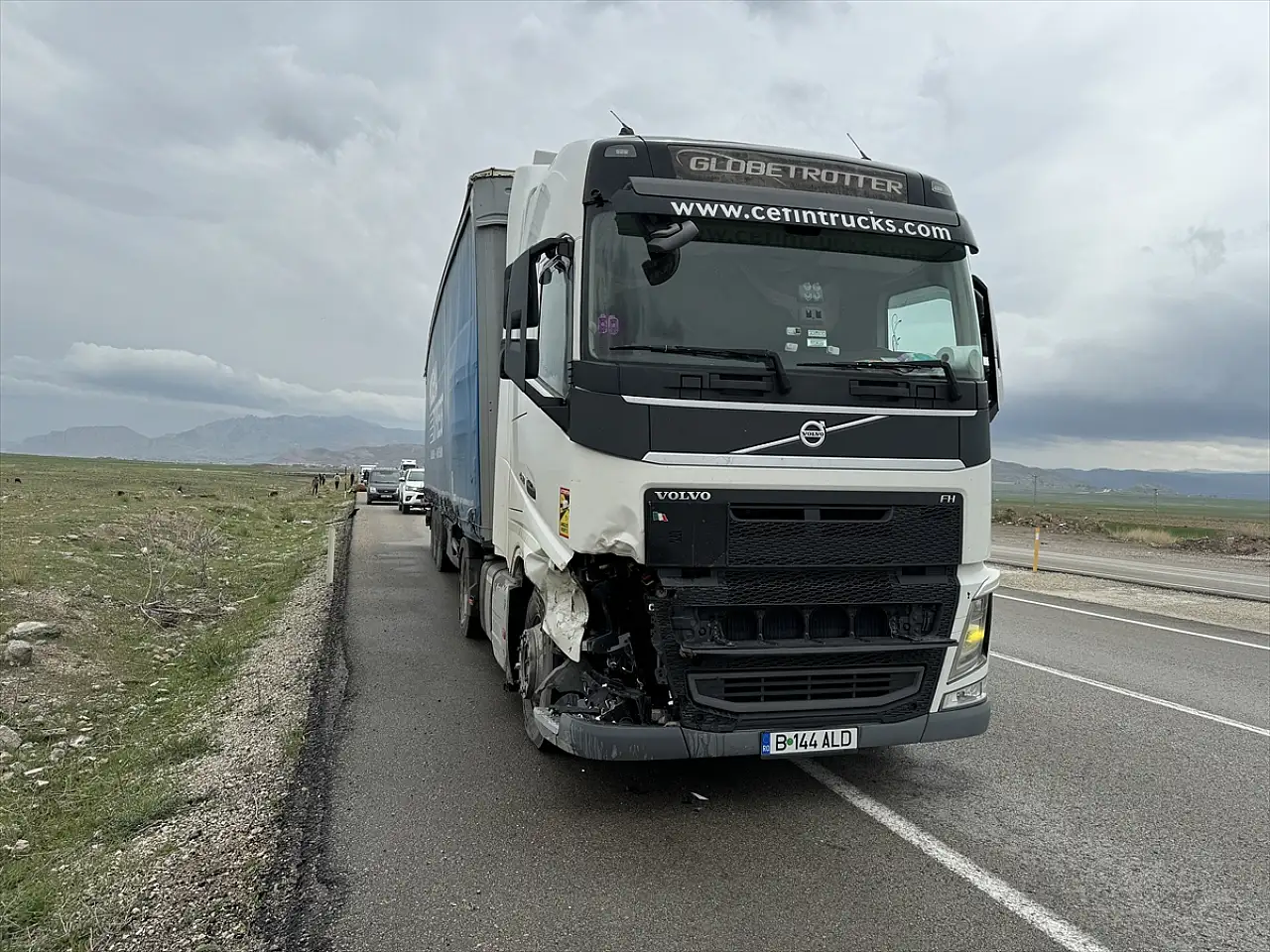 Ağrı'da büyükbaşlara tır çarptı, sonrası yolda şaşkınlık yarattı