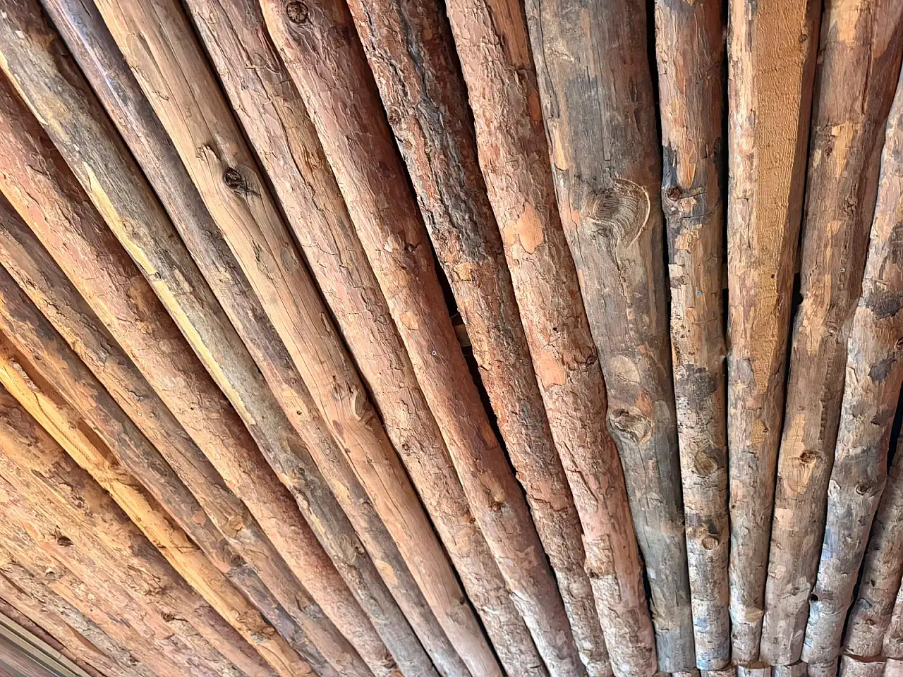 Ağrı'da ahırlarda kamış geleneği sürüyor