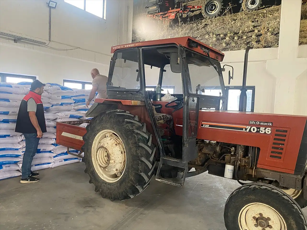 Ağrı'da çiftçilere sertifikalı buğday tohumu desteği