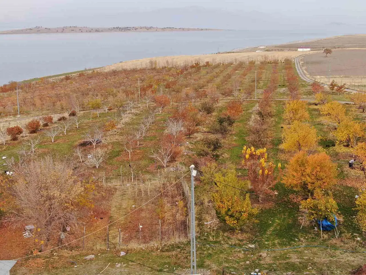 Van'da sonbahar renkleri kartpostallık manzaralar sunuyor