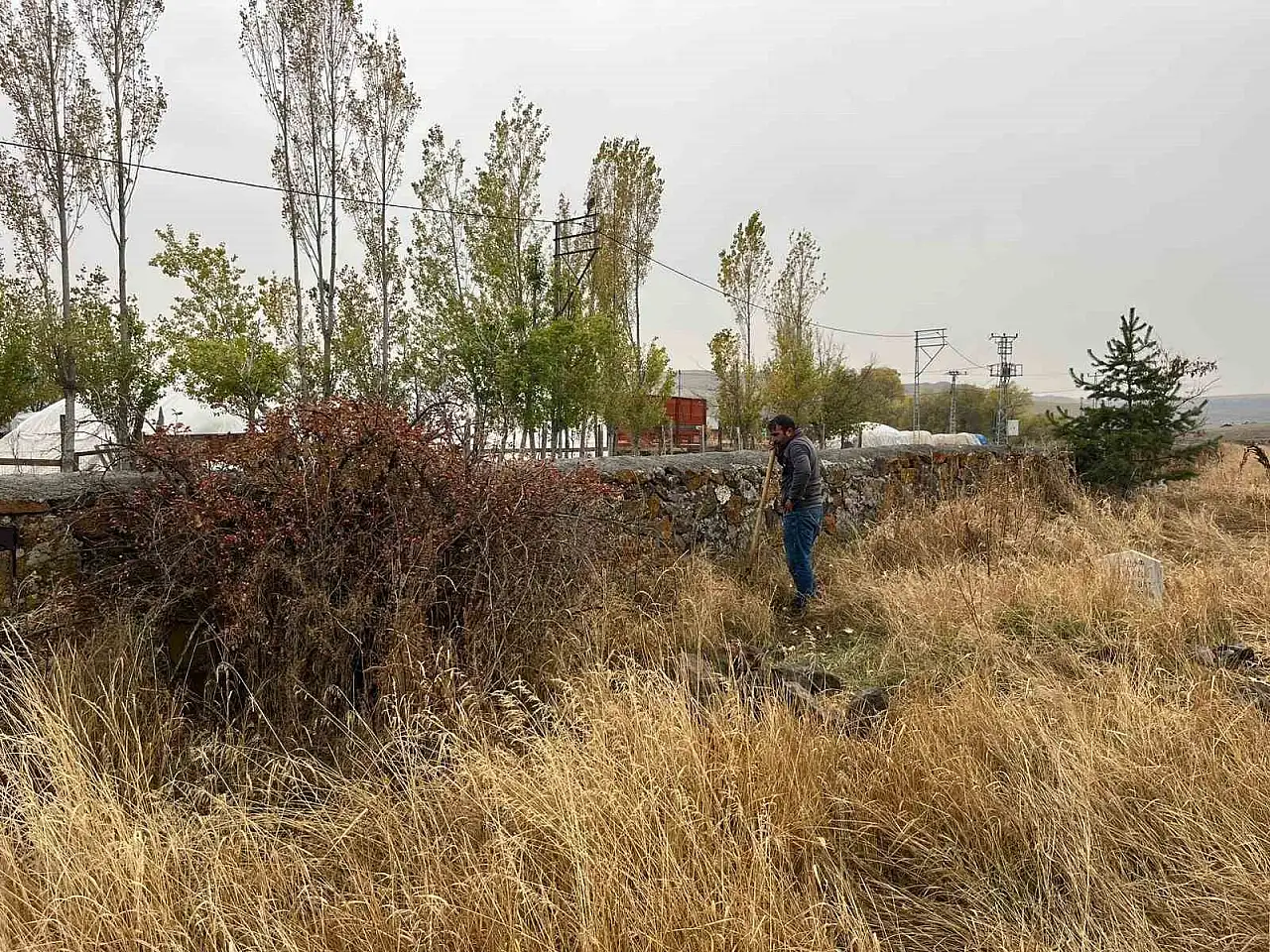 Kars'ta Muhtar Ekinci'den Ağaçlandırma Seferberliği ile Yeşil Miras
