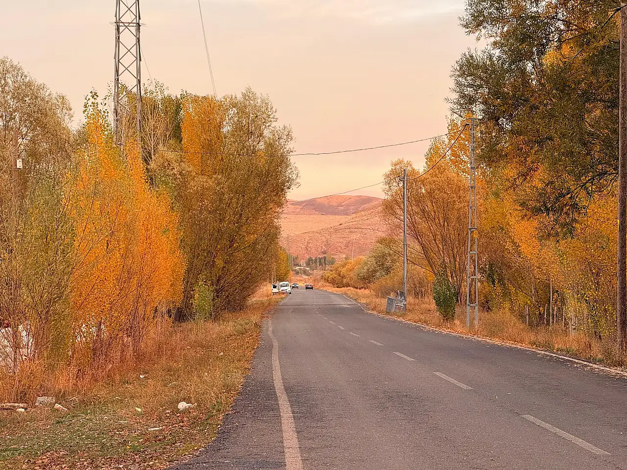 Ağrı'da sonbaharın son renkleri yerini kışa bırakıyor