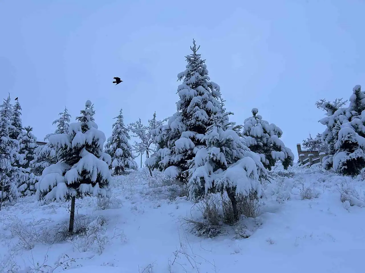 Van'da Etkili Kar Yağışı: Uçuşlarda Gecikmeler Başladı
