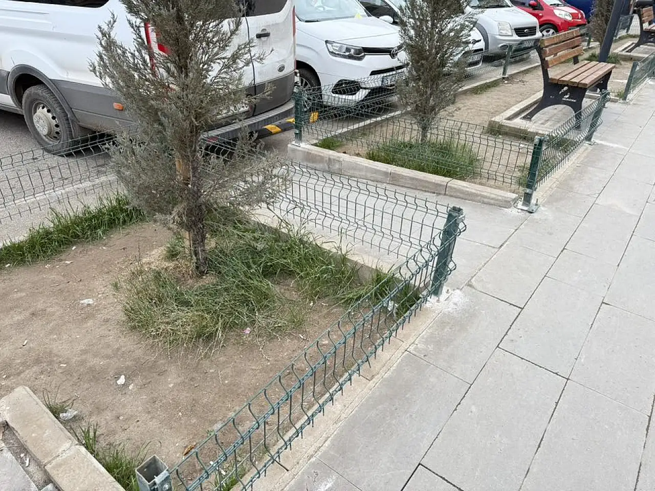 Oltu'da Yeşil Alanlara Estetik ve Koruma Dokunuşu