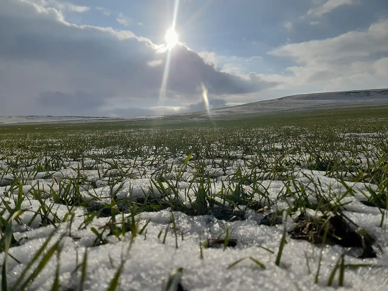 Ağrı'da kar geçişleri tarım arazilerini beyaz örtüyle kapladı