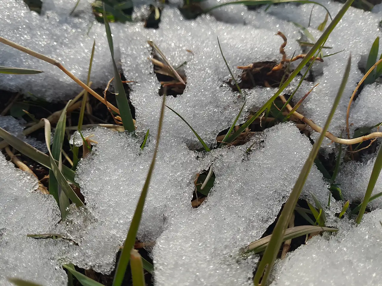Ağrı'da kar geçişleri tarım arazilerini beyaz örtüyle kapladı