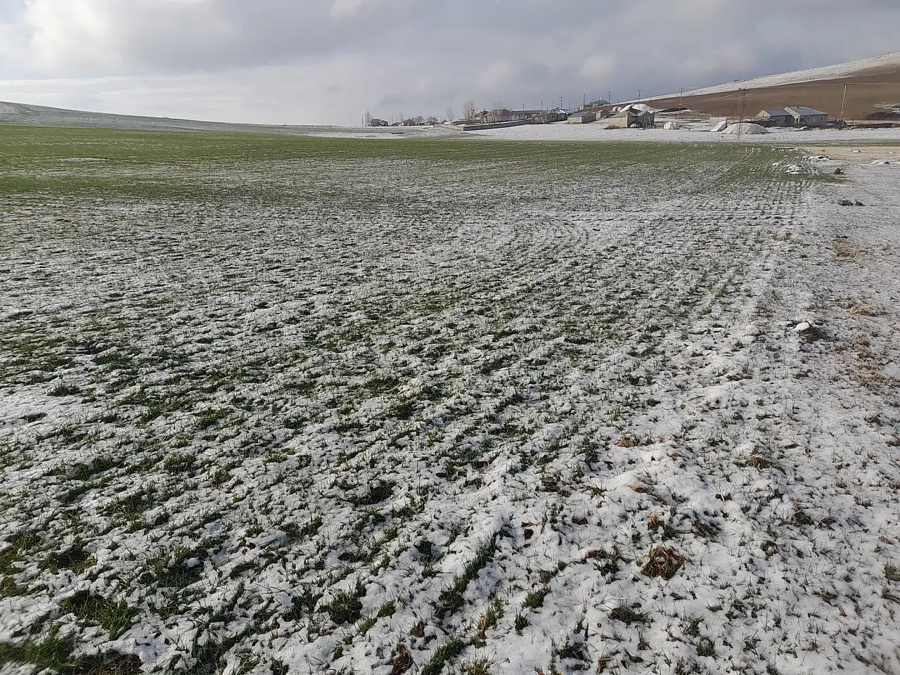 Ağrı'da kar geçişleri tarım arazilerini beyaz örtüyle kapladı
