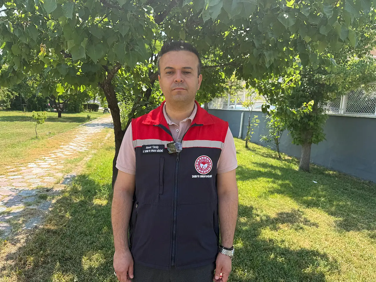 Iğdır'da kayısı üreticisi zor bir sezon geçiriyor