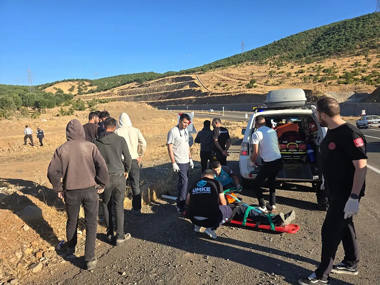 Bingöl'de pikap şarampole devrildi