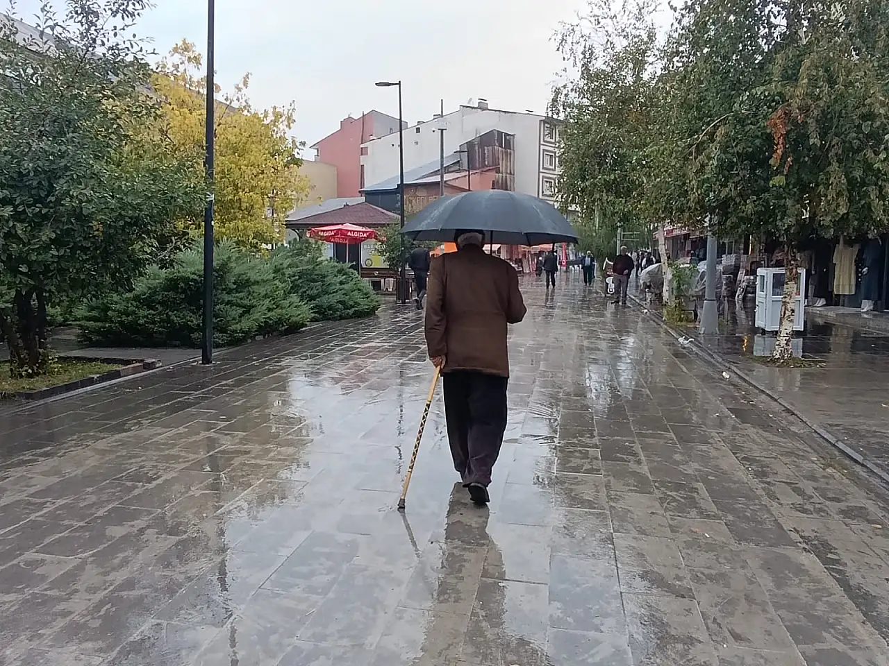 Ağrı'da sonbahar yağmuru etkisini sürdürüyor