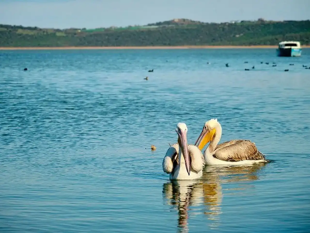 Bursa'da Gezilecek Yerler | En Popüler 104 Yer Sıralı Liste