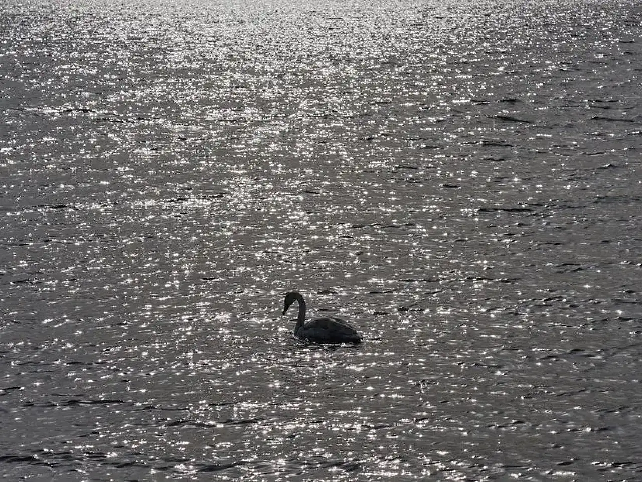 Ağrı'nın En Tanınmış Özellikleri: Şehrin İkonik Unsurları ve Tarihi Zenginlikleri