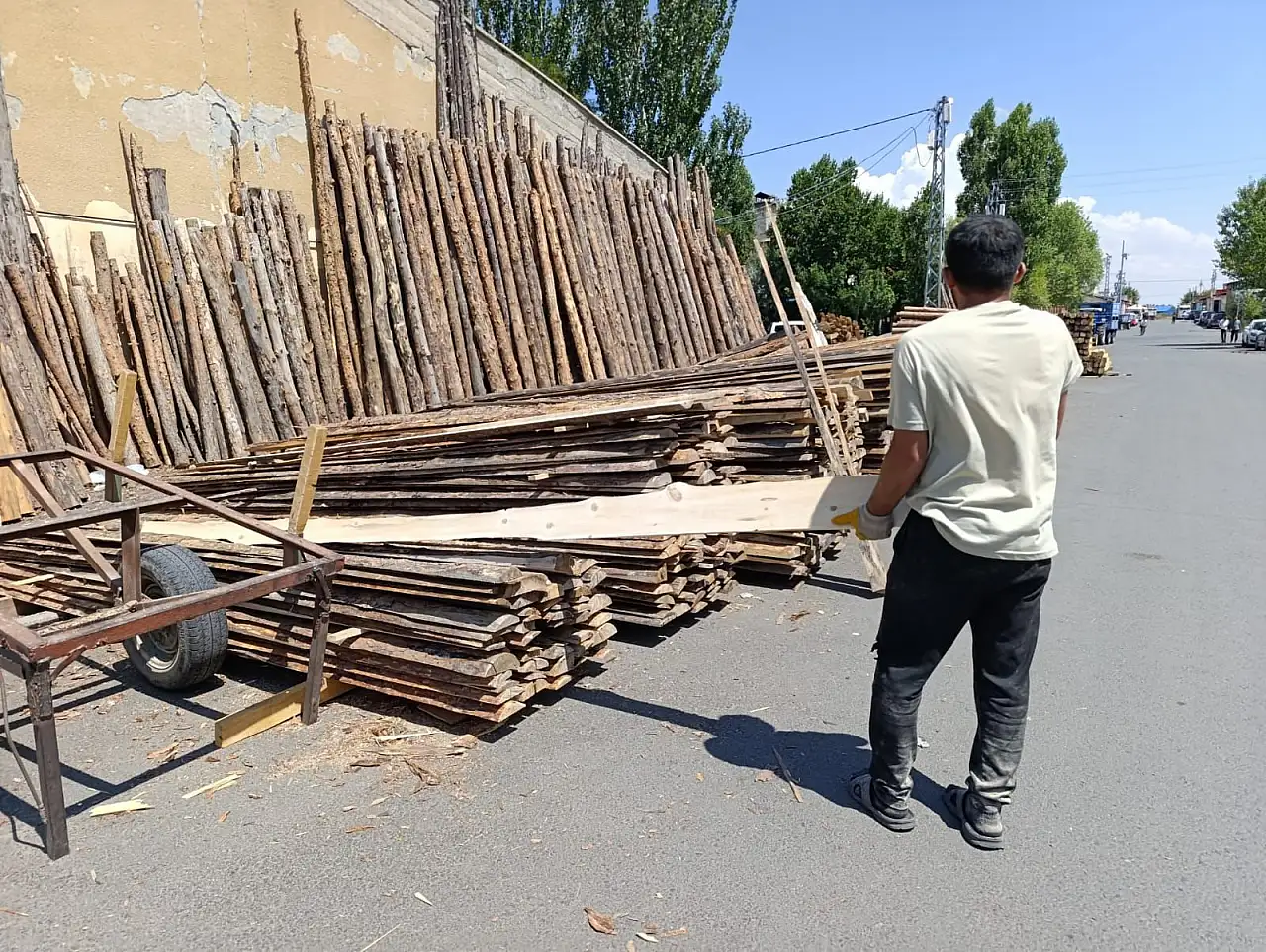 Ağrı'da ahırlarda kamış geleneği sürüyor