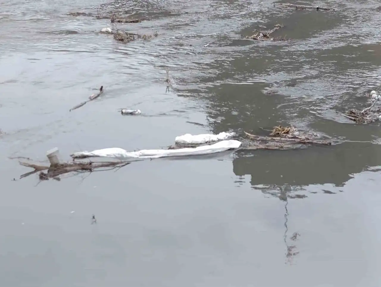 Kars Çayı kirlilik tehdidi altında: Turistlerin gözdesi çöplüğe döndü