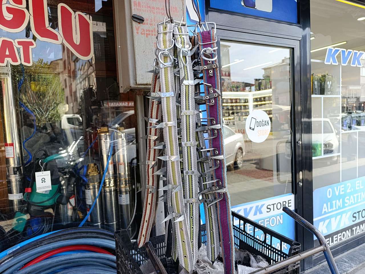 Ağrı'da çoban köpekleri için koruyucu tasmalar talep görüyor